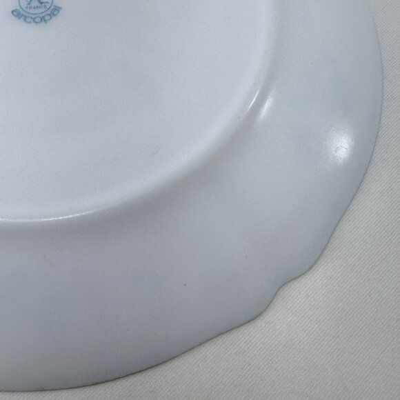 Vintage Arcopal France Provincial Dinner Plate 10” Flower Spring Summer Garden - Picture 10 of 12